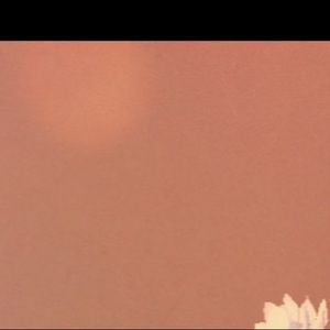 Meet your Posher, Hermoine